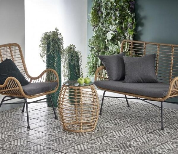 SET CANAPEA + FOTOLIU + MASA CAFEA 1