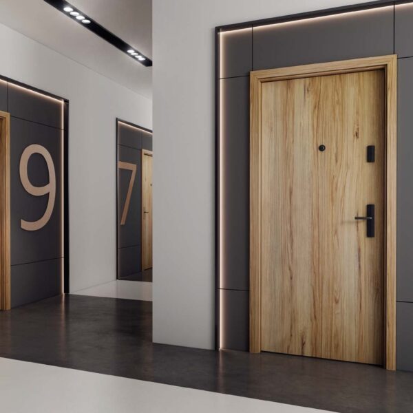 USA DE INTRARE INTERIOARA PLINA