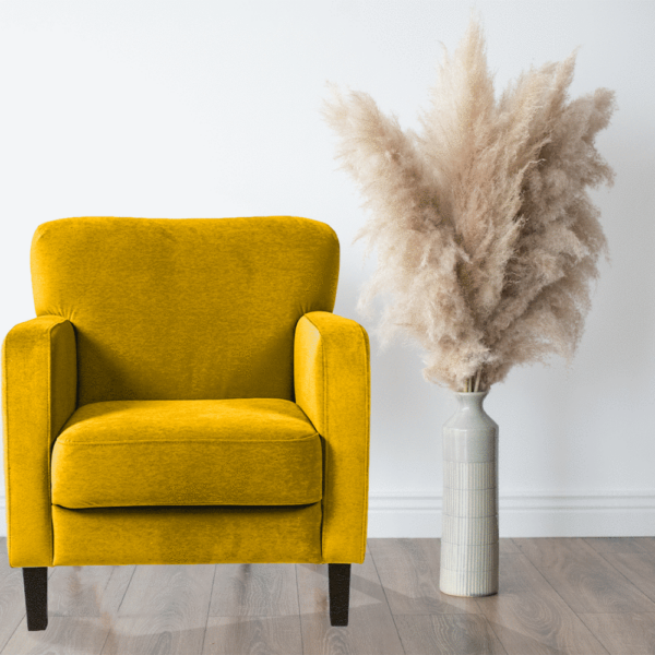 Fotoliu pentru living