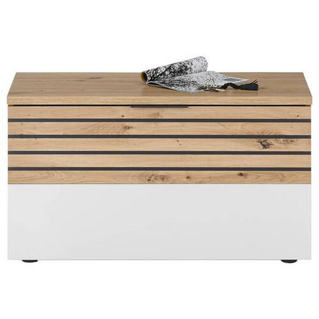 BANCĂ DEPOZITARE PANTOFI 85/48/38 cm