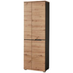 DULAP PENTRU HOL 65/198/38 cm