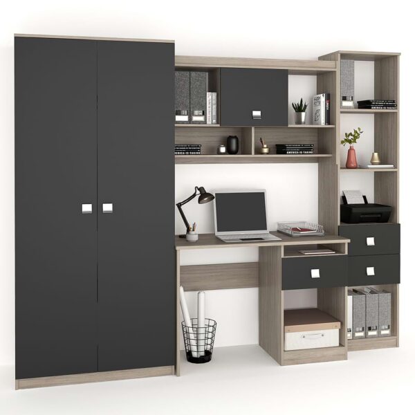 Ansamblu MODUS 3